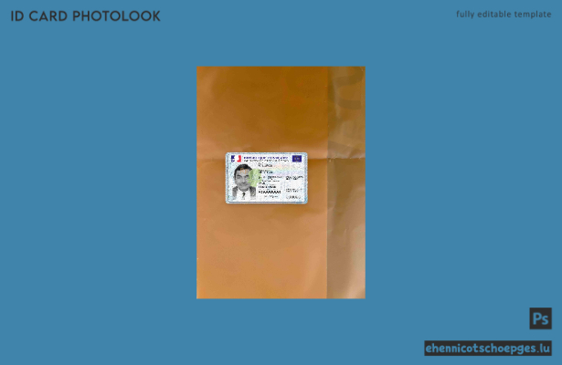Frankreich neue ID 2021 März - heute Fotolook-Beispielvorschau